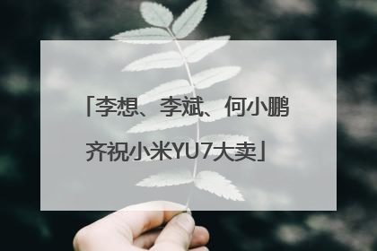 李想、李斌、何小鹏齐祝小米YU7大卖