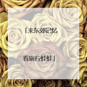 来东郊记忆 看旅行蛙蛙