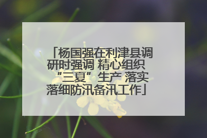 杨国强在利津县调研时强调 精心组织“三夏”生产 落实落细防汛备汛工作