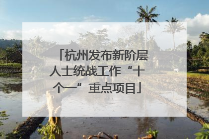 杭州发布新阶层人士统战工作“十个一”重点项目