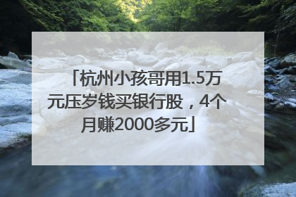 杭州小孩哥用1.5万元压岁钱买银行股，4个月赚2000多元