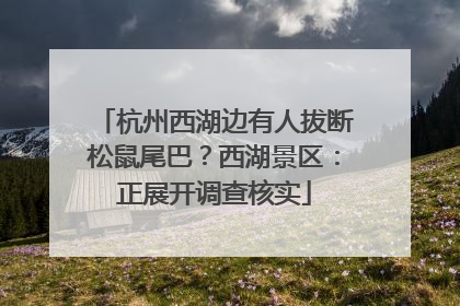 杭州西湖边有人拔断松鼠尾巴？西湖景区：正展开调查核实
