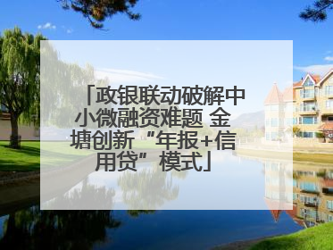政银联动破解中小微融资难题 金塘创新“年报+信用贷”模式