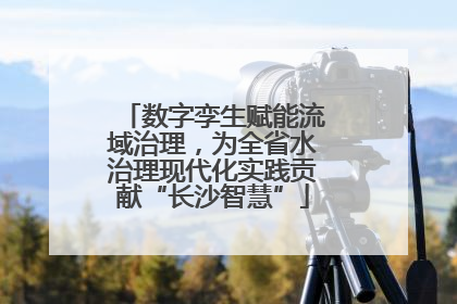 数字孪生赋能流域治理，为全省水治理现代化实践贡献“长沙智慧”
