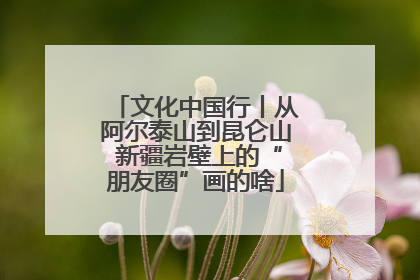 文化中国行丨从阿尔泰山到昆仑山 新疆岩壁上的“朋友圈”画的啥