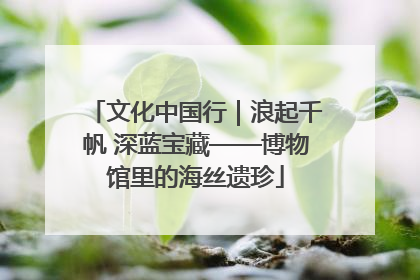 文化中国行｜浪起千帆 深蓝宝藏——博物馆里的海丝遗珍