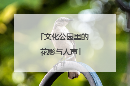 文化公园里的花影与人声