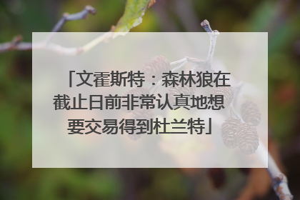 文霍斯特：森林狼在截止日前非常认真地想要交易得到杜兰特