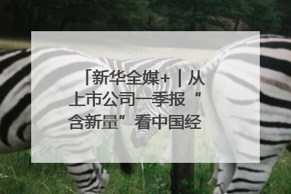新华全媒+｜从上市公司一季报“含新量”看中国经济发展向“新”