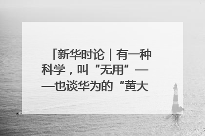 新华时论｜有一种科学，叫“无用”——也谈华为的“黄大年茶思屋”