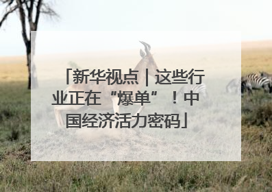 新华视点｜这些行业正在“爆单”！中国经济活力密码