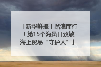 新华鲜报丨踏浪而行！第15个海员日致敬海上贸易“守护人”