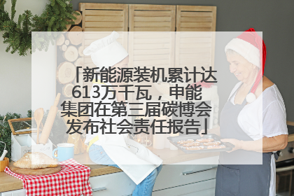 新能源装机累计达613万千瓦，申能集团在第三届碳博会发布社会责任报告
