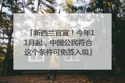 新西兰官宣！今年11月起，中国公民符合这个条件可免签入境