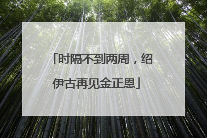 时隔不到两周，绍伊古再见金正恩