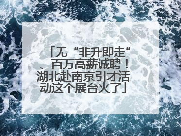 无“非升即走”、百万高薪诚聘！湖北赴南京引才活动这个展台火了