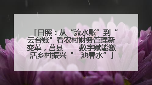 日照：从“流水账”到“云台账”看农村财务管理新变革，莒县——数字赋能激活乡村振兴“一池春水”