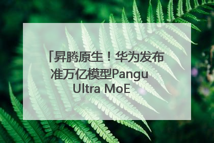 昇腾原生！华为发布准万亿模型Pangu Ultra MoE模型架构和训练细节