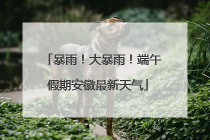 暴雨！大暴雨！端午假期安徽最新天气