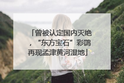 曾被认定国内灭绝，“东方宝石”彩鹮再现孟津黄河湿地