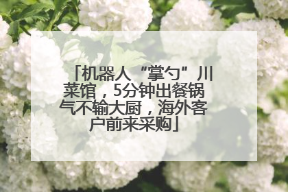 机器人“掌勺”川菜馆，5分钟出餐锅气不输大厨，海外客户前来采购