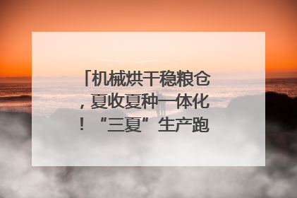 机械烘干稳粮仓，夏收夏种一体化！“三夏”生产跑出加速度｜麦报