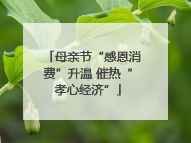 母亲节“感恩消费”升温 催热“孝心经济”