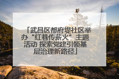武昌区都府堤社区举办“红巷传薪火”主题活动 探索党建引领基层治理新路径