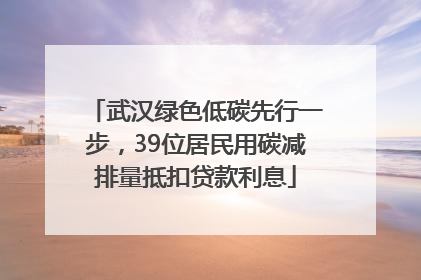 武汉绿色低碳先行一步，39位居民用碳减排量抵扣贷款利息