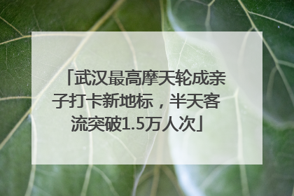 武汉最高摩天轮成亲子打卡新地标，半天客流突破1.5万人次