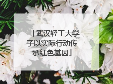 武汉轻工大学子以实际行动传承红色基因