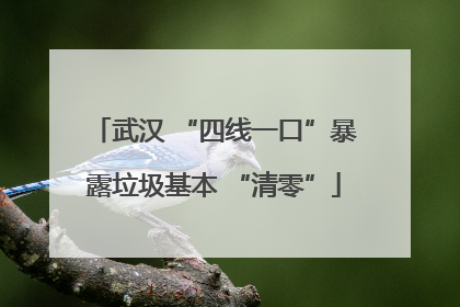 武汉 “四线一口”暴露垃圾基本 “清零”