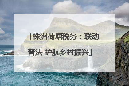 株洲荷塘税务：联动普法 护航乡村振兴
