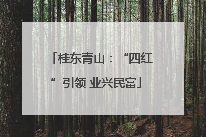 桂东青山：“四红”引领 业兴民富