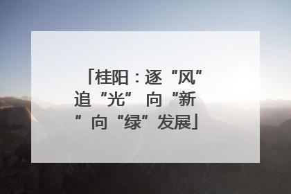 桂阳：逐“风”追“光” 向“新”向“绿”发展