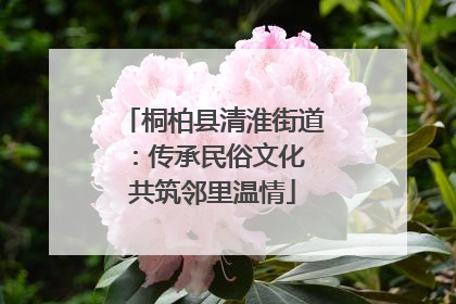 桐柏县清淮街道：传承民俗文化 共筑邻里温情