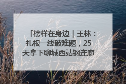 榜样在身边｜王林：扎根一线破难题，25天拿下聊城西站钢连廊“硬核”工程