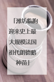 潍坊临朐迎来史上最大规模法国祖代朗德鹅种苗