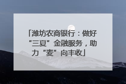 潍坊农商银行：做好“三夏”金融服务，助力“麦”向丰收