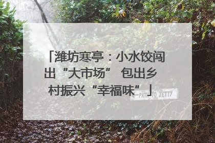 潍坊寒亭：小水饺闯出“大市场” 包出乡村振兴“幸福味”