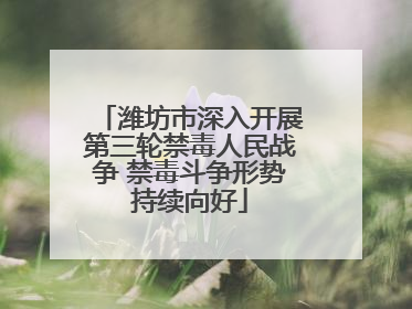 潍坊市深入开展第三轮禁毒人民战争 禁毒斗争形势持续向好