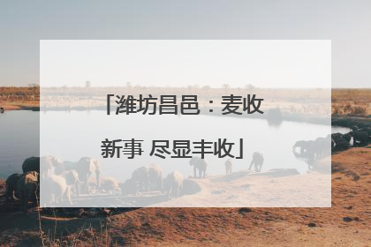 潍坊昌邑：麦收新事 尽显丰收