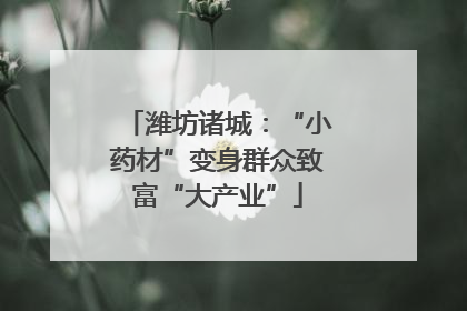 潍坊诸城：“小药材”变身群众致富“大产业”