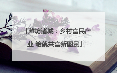 潍坊诸城：乡村富民产业 绘就共富新图景