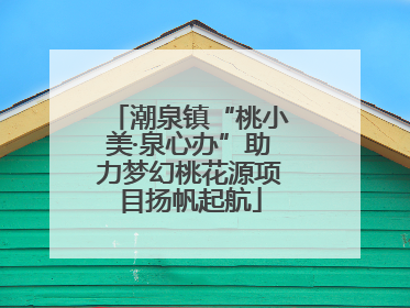 潮泉镇“桃小美·泉心办”助力梦幻桃花源项目扬帆起航