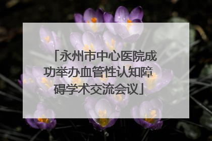 永州市中心医院成功举办血管性认知障碍学术交流会议