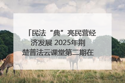 民法“典”亮民营经济发展 2025年荆楚普法云课堂第二期在武汉客厅开讲
