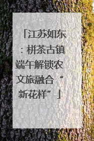 江苏如东：栟茶古镇端午解锁农文旅融合“新花样”