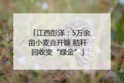 江西彭泽：5万余亩小麦喜开镰 秸秆回收变“绿金”