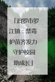 汨罗市罗江镇：禁毒护苗齐发力 守护校园助成长